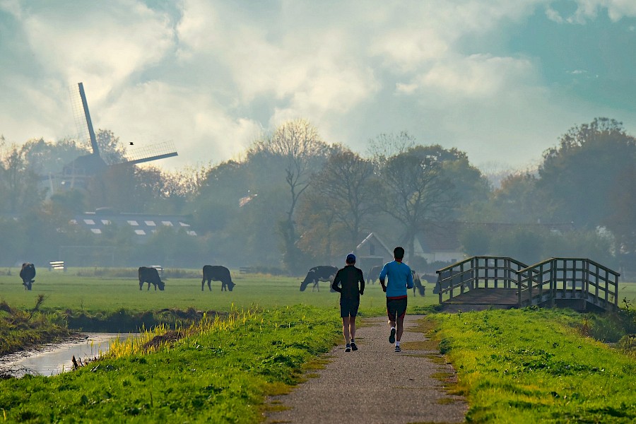 Gemeente zoekt inspiratie voor vitaliteitsbeleid